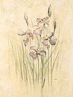 Cheri Blum Purple Dream Irises painting